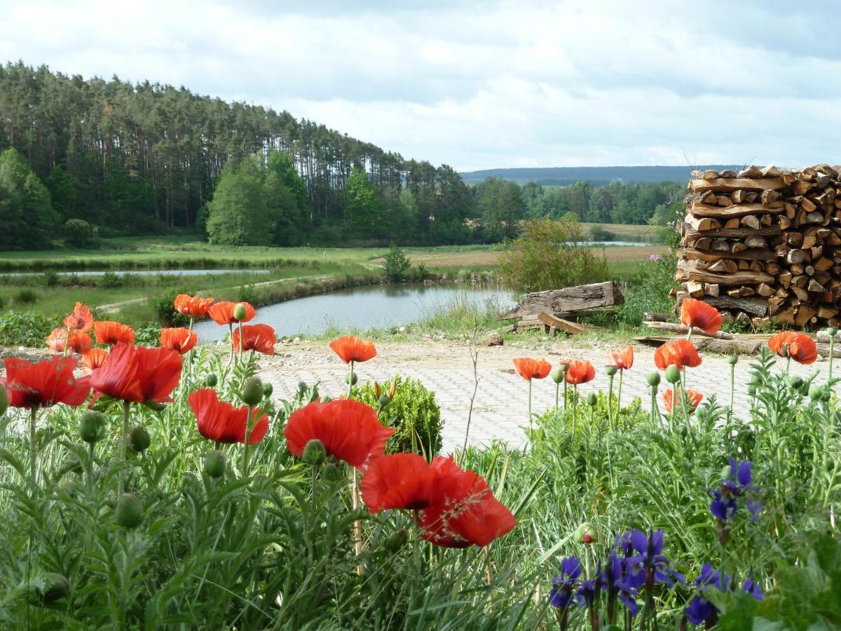 Ferienwohnungen Am Buechlhof Im Oberpfaelzer Seenland Neunburg vorm Wald Kültér fotó