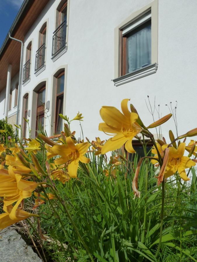 Ferienwohnungen Am Buechlhof Im Oberpfaelzer Seenland Neunburg vorm Wald Kültér fotó